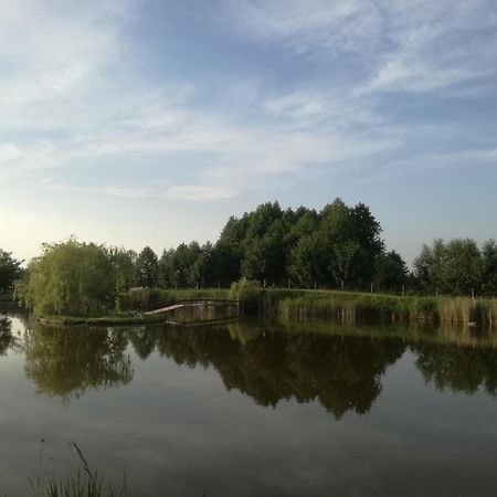 Agrowczasy Nad Stawem Villa Gartatowice Kültér fotó