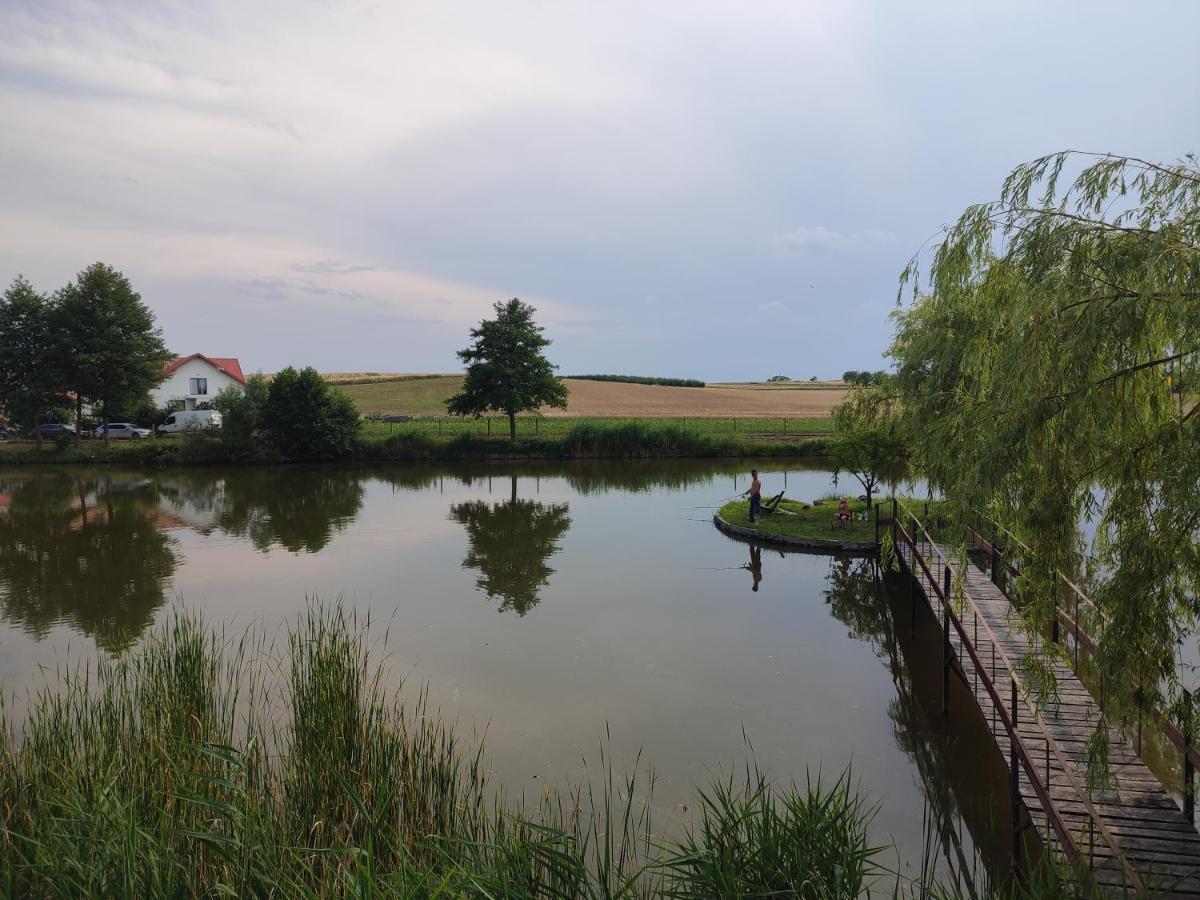 Agrowczasy Nad Stawem Villa Gartatowice Kültér fotó