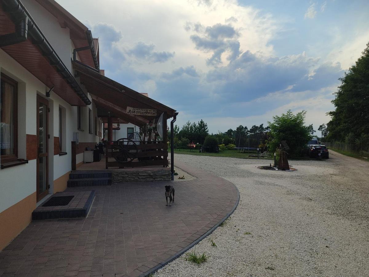 Agrowczasy Nad Stawem Villa Gartatowice Kültér fotó
