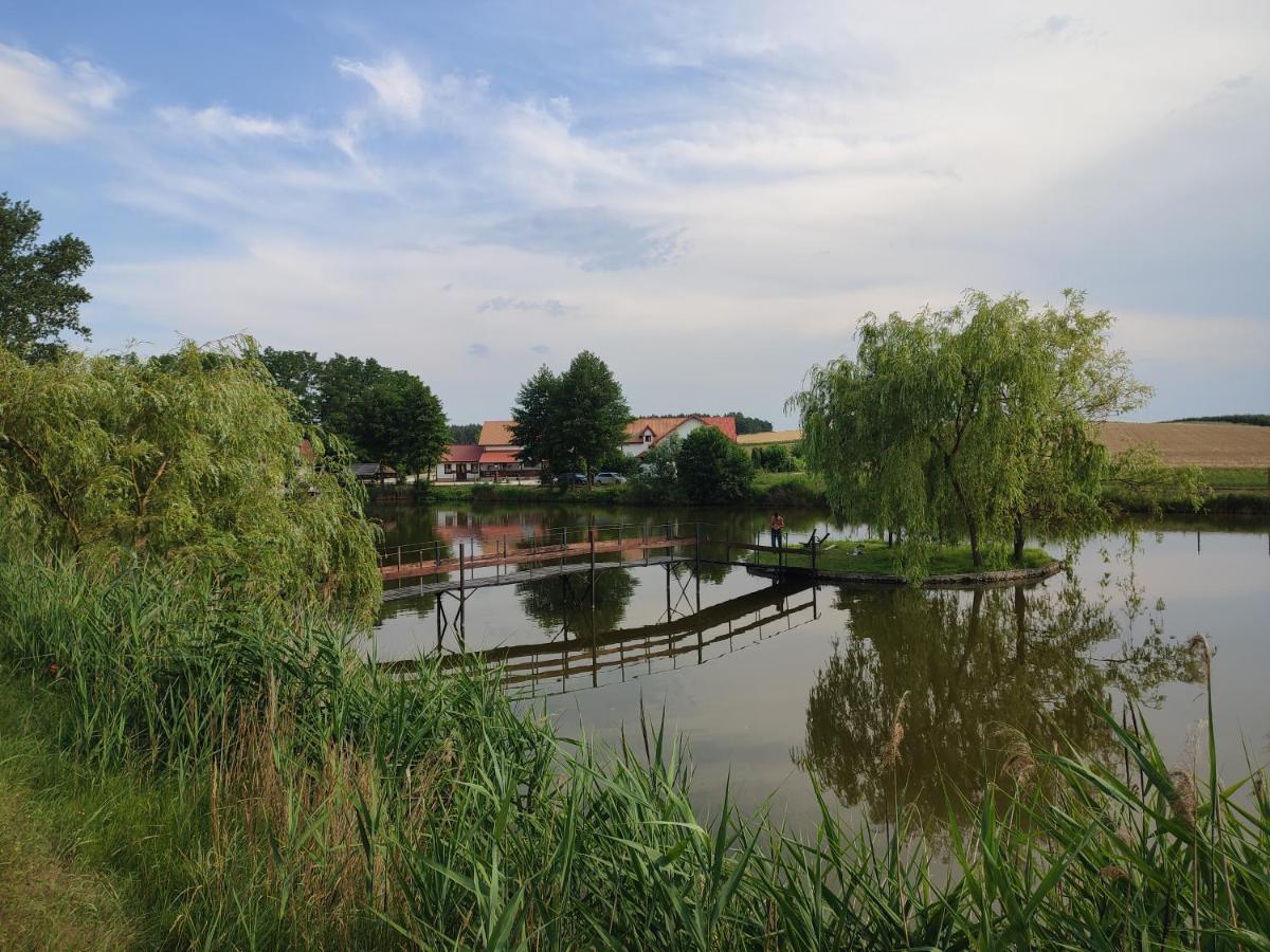 Agrowczasy Nad Stawem Villa Gartatowice Kültér fotó