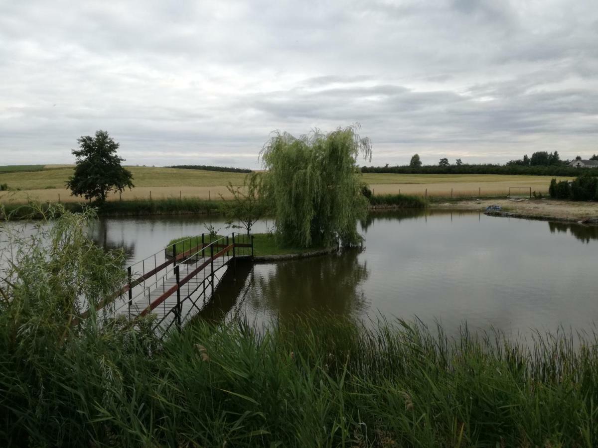 Agrowczasy Nad Stawem Villa Gartatowice Kültér fotó