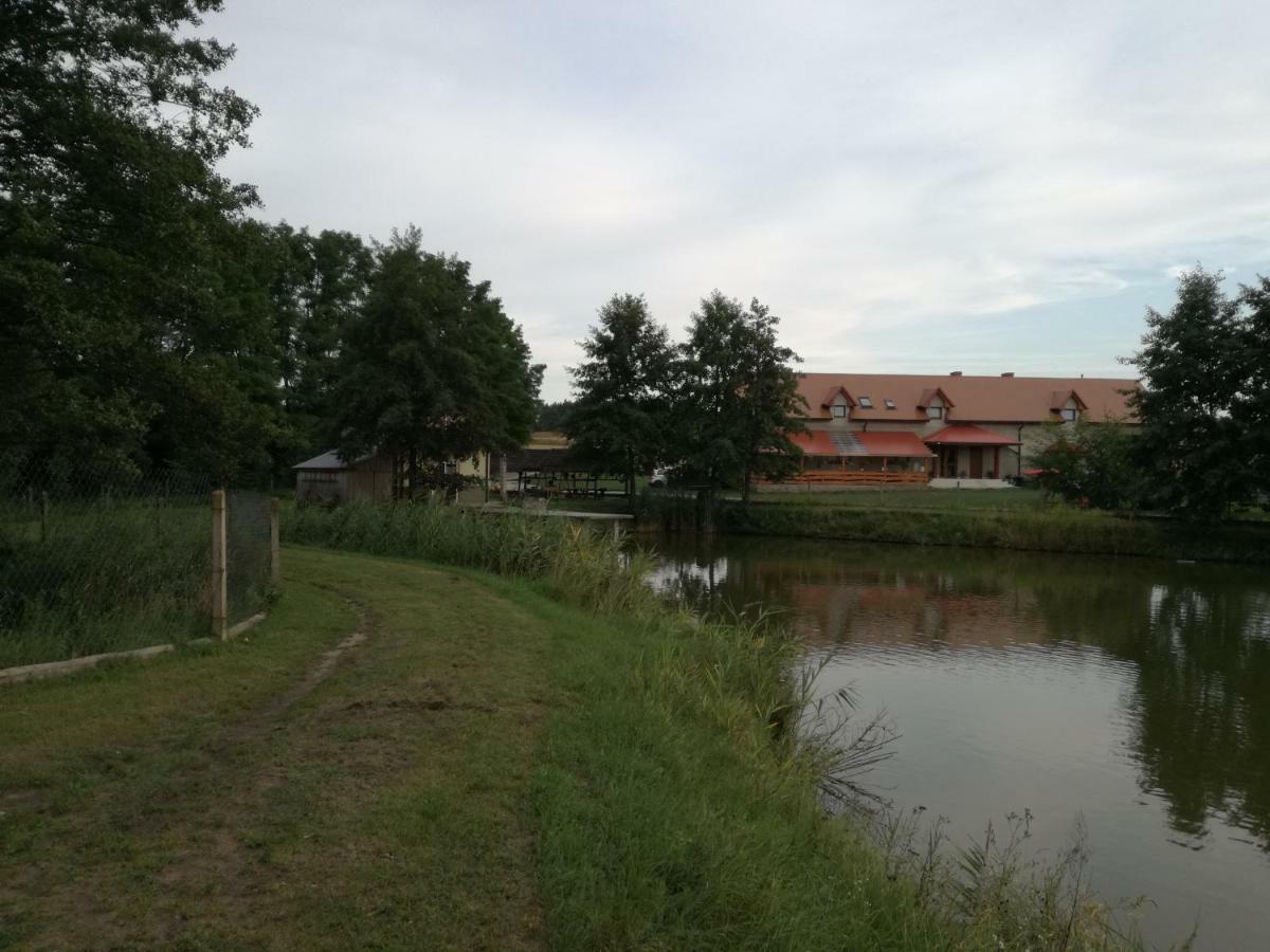 Agrowczasy Nad Stawem Villa Gartatowice Kültér fotó